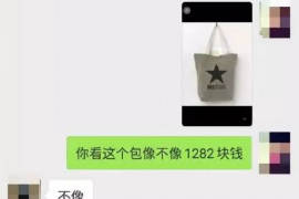 大武口要债公司